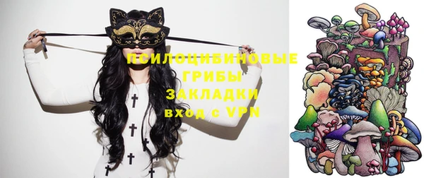 МДПВ Аркадак
